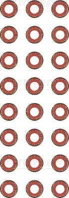 Seal Set, valve stem